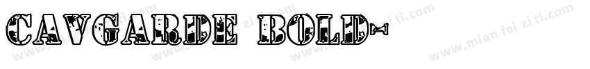 CAVGarde Bold字体转换
